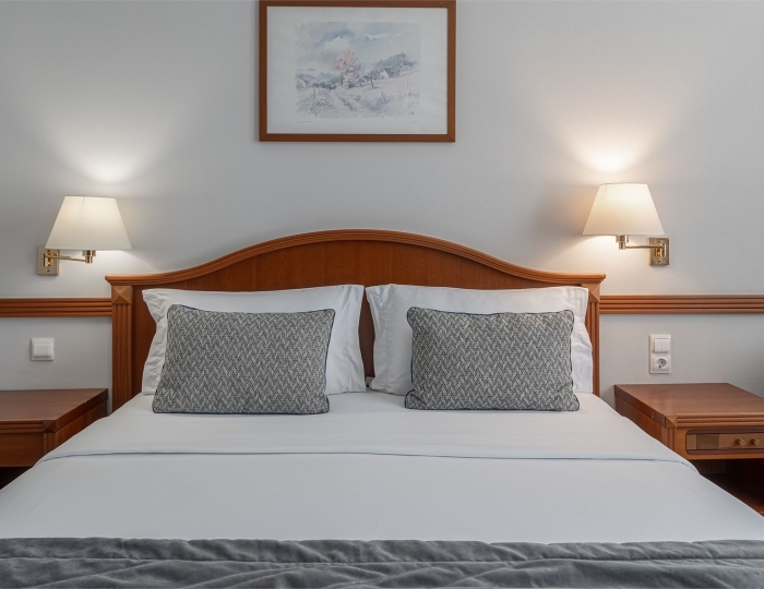 Стандарт 2-местный DBL горы - Комплекс ODISSEYA Wellness Resort / Одиссея Велнес Резорт