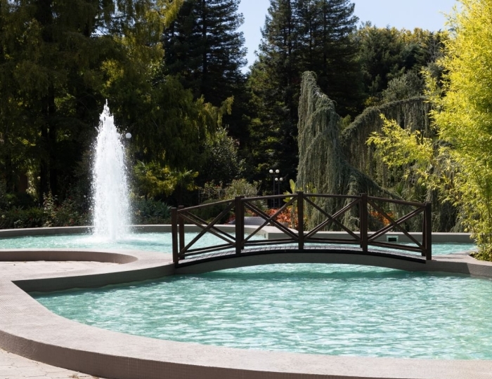 Дендрологический парк - Комплекс ODISSEYA Wellness Resort / Одиссея Велнес Резорт