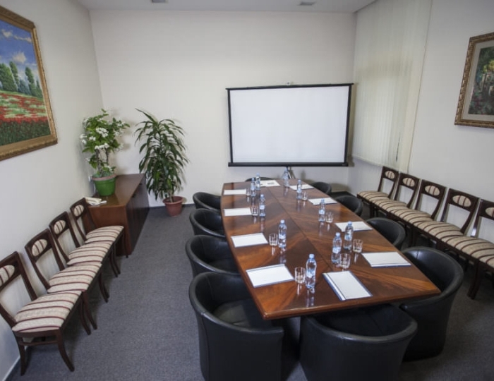 Конференц-зал 2 - Комплекс ODISSEYA Wellness Resort / Одиссея Велнес Резорт